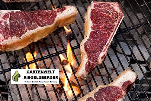 2x 5 kg Kohle Manufaktur Premium Grillbriketts RAUCHFREI, bis zu 4,5 Std. Brenndauer, Grillbrikett Briketts Grill Holzkohle Brikett MADE IN GERMANY von Gartenwelt Riegelsberger-SET - 5