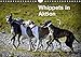 Produktbild Whippets in AktionAT-Version (Wandkalender 2019 DIN A4 quer): Die kleinen englischen Windhunde im Lauf, im Spiel, bei Raufereien (Monatskalender, 14 Seiten ) (CALVENDO Tiere)
