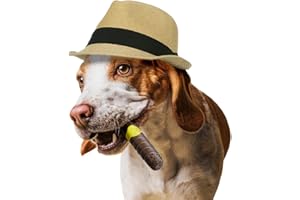 AmeizPet Jouet Chien Indestructible Cigare Saveur De Boeuf, Jeu Résistant Os a Macher pour Chien, Chiot, 100% Nylon Jouet Occupation a Macher pour Grand, Médium Chiens