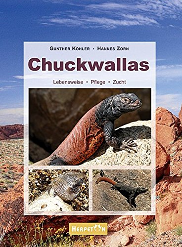 Preisvergleich Produktbild Chuckwallas: Lebensweise, Pflege, Zucht