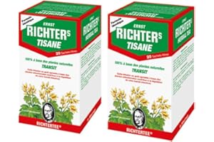 NOMAD EXOTIC LOT de 2 Tisane the Richter transit NE 2 x 20 sachets