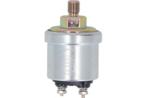 HYUDUO Sensore Pressione Carburante, Sensore Pressione Olio in Ottone Ad Alta Pressione Filettatura Maschio M10 X 1/8NPT, Durevole e Facile da Installare per VDO, Fluorometri (0-10 bar)