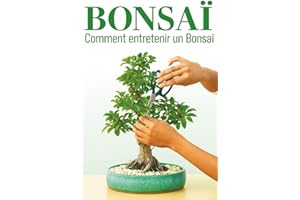 BONSAÏ: Comment entretenir un bonsaï