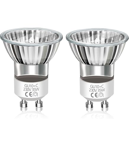 Cazadoras de Cuero de Hombre | Colección Efecto Piel | Springfield
