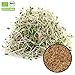 Produktbild 1000g Bio Alfalfa Samen (Luzerne) | 1 kg  Keimsaat für Sprossen | Sprossenanzucht | Microgreen Mikrogrün | Keimfähig | SUPERFOOD | in kompostierbarer Verpackung | STAYUNG