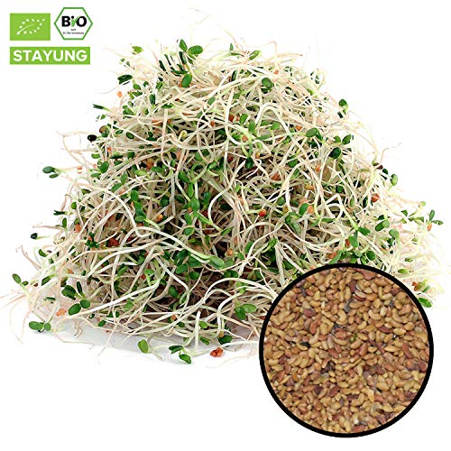 Preisvergleich Produktbild 1000g Bio Alfalfa Samen (Luzerne) / 1 kg Keimsaat für Sprossen / Sprossenanzucht / Microgreen Mikrogrün / Keimfähig / SUPERFOOD / in kompostierbarer Verpackung / STAYUNG