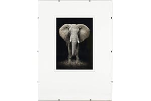 postergaleria Cadre photo sans cadre | 60x80cm | Verre acrylique | avec clips | Porte-photo pour affiches photos | Cadre d'affiche | plusieurs tailles | bon pour salon, salle à manger, cuisine