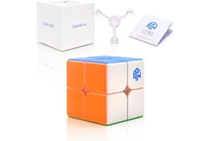 ACCXFEK GAN 249 V2,2x2 Speed Cube for Kids and Adults,2x2x2 Magic Cube Puzzle Toy (49mm)
