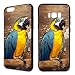 Produktbild Hülle Tiere iPhone Apple Silikon Tiger Wolf Löwe Elephant Pferde Papagei Pferd, Hüllendesign:Design 6 | Silikon Schwarz, Handymodell:Apple iPhone XS Max