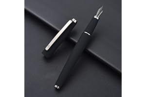 ASVINE Hongdian - Penna stilografica nera opaca, pennino fine, serie Warrior, design classico, con convertitore e confezione regalo in metallo