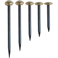 HMH-Shop Bildernägel 20/25/30/40/50 mm Stahl Bildernägel Messingkopf 6 mm Nägel zum aufhängen von Bildern (10, 2 x 20 mm…