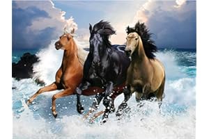 DCIDBEI Pintura Cristal Manualidades 3 Caballos 50x40cm Cuadros Pintura de Diamantes de Caballos Diamond Painting Square Drill Pintura Diamante Cuadrado Blanco y Negro Caballos Puzzle Diamantes Paisaje Playa