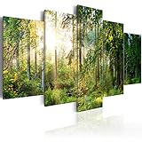 DEKORATION: Der Hingucker in Ihrer Wohnung! Wohnzimmer, Schlafzimmer, Küche und Kinderzimmer- unsere schönen und edlen Bilder schaffen gemütliche Stimmung für alle Hausbewohner und Gäste