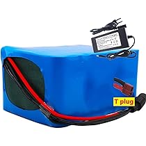 60V 30Ah Ebike Akku - Lithium-Ionen Mit Ladegerät