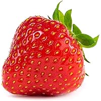 20 Sonata Erdbeerpflanzen - Frigo Pflanzen - Pflanzzeit: März/April - Ernte: Juni - Erdbeersetzlinge/Erdbeerstecklinge…