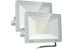 ANNIFUNLY Faretto LED da Esterno 100w 10000lm Potenti Faretti LED per Esterni 6500k Bianco Freddo, IP67 Impermeabile Faro LED per Terrazza, Giardino, Parco, Patio, Garage, 2 Pezzi