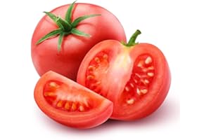 ACQUA TOWER GROWING SYSTEMS Tomato Plants - 'Gardener's Delight' - 6 x Plug Plant Pack - Tomato Plants Ready to Plant Now - Tomato Plug Plants - Plants Outdoor Garden Ready - Plug Plants - Tomatoes - Premium Quaility Plants