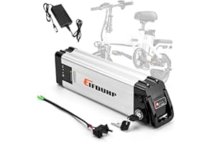 EIFDUHP Batteria Ebike 36V 20AH, Batteria Litio Bici Elettrica per 750W-200W Motore Bicicletta, con Porta Scarico 2 Pin, Caricatore 42V, Serratura Sicura, BMS e Maniglia Portatile