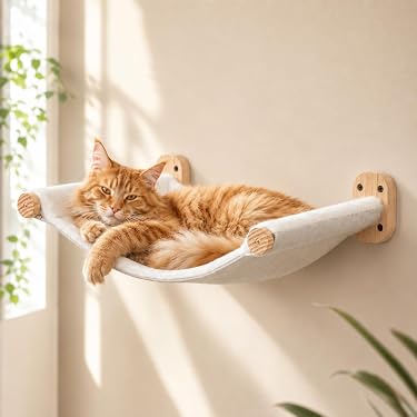 hängematte katze balkon Bestseller: Die beliebtesten Artikel in Katzenhängematten All MTN Teleskopsattelstütze SP-T10, 04788947 Denominations:$100