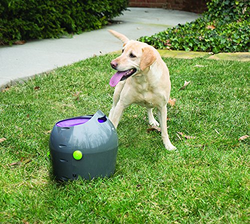 PetSafe-Automatic-Ball-Launcher