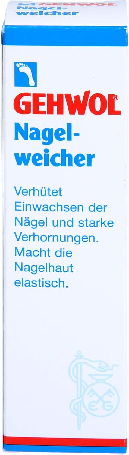 Vue 12