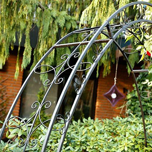 Rosenbogen Trend Garden - 2