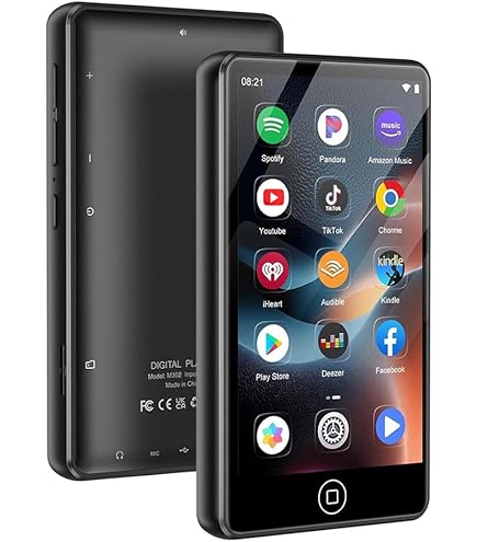 Sony Nw-ZX507 64GB Walkman Hi-Res Digital Music Player with 3.6