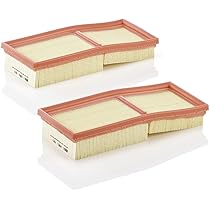 MANN-FILTER C 2861-2 Filtro dell'aria (set da 2) - per Autovetture + veicoli commeriali