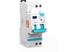 RANRAO Interruttore automatico WIFI RCBO intelligente, interruttore automatico regolabile corrente di protezione da sovracorrente 1P+N, telecomando APP per Tuya, 6kA(6-20A)