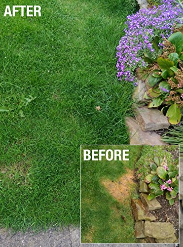 Envii Neuturine – Hund Urin Neutralisator Spray Reparaturen Gebranntes Gras Betroffene Dog Urin – 12 Tabletten - 4