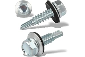 NENULL 150 pcs Viti Autofilettanti per Metallo 4,8 X 19 mm Viti Autoperforanti Viti Autoforanti Cappellotti per Lamiere Grecate Viti Esagonali Con Rondella di Tenuta Zincata in Acciaio Inox (Argento)