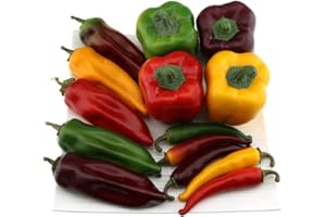 Gresorth Fälschung Gemischt Pfeffer Sammlung Künstlich Chili Gemüse Zuhause Party Geschäft Christmas Dekoration - 14 Stück