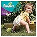 Pampers Active Fit Size 4+ (Maxi+) Monthly Pack - 140 Nappies