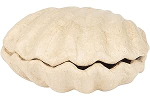 Décopatch BT078C - Un support en papier brun mâché 12x12x5,5 cm, Boîte coquillage, Unité