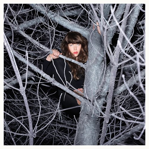 Book's Cover ofCannibale