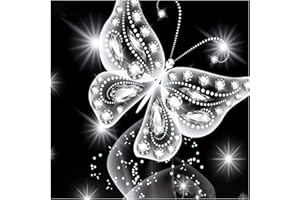 MXJSUA bricolage 5D diamant peinture Kits pleine perceuse ronde cristal strass photos maison décoration murale argent papillon 30x30 cm