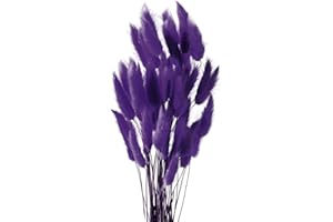 Diyxisk Hierba de la Pampa,50 Pcs Flores Secas Naturales Decoración,Flores Preservadas Adecuado para Jarrón Mesa de Boda Habitación Decoración del Hogar Accesorios Sala de Estar(Morado Oscuro)