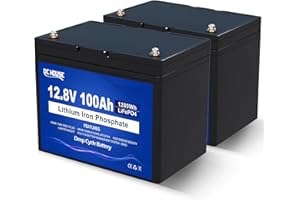 DCHOUSE 2 Pack 12V 100AH LiFePO4 Lithium Battery, Low-Temp Cut-Off, Group 31,Built-in 100A BMS, Up to 15000 Cycles Battery for Marine, Trolling Motor, Travel Trailer, Energy Storage-Off Grid, Caravans