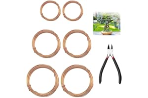 Mu Mianhua 30 Meters Golden Aluminium Bonsai Training Wire Bonsai Wire for Bonsai Tree Training and Craft Making with Nippers 1.0 mm/2.0 mm/3.0 mm