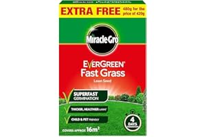 KENNYKRAFTS Miracle-GRO Evergreen Fast Grass Lawn Seed - Super Fast Germination 480g with a Thank You Sticker