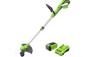 Greenworks Coupe-bordures sans fil, 40V Largeur Coupe 33 cm, Fil en 1,65 mm à Alimentation Automatique, G40LT33K2, Batterie 2Ah et Chargeur