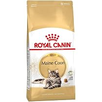 Royal Canin Maine Coon 400 g, foder, djurfoder, kattfoder torr 