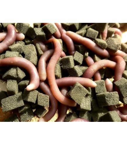 Esca Viva Coreana Da Mare - Confezione Da 18 Pezzi, Per Pesca In Mare