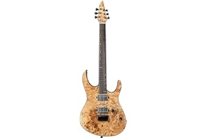 EART H6 E-Gitarre Fix Bridge Gitarre mit 6 Saiten Solid-Body Rechtshänder E-Gitarre, geschlossene Tonabnehmer für Heavy Metal Musik, Pop, Rock, Dendritic Veneer Gitarre
