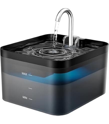 Zijn waterfonteinen slecht voor katten? (mythes ontkracht