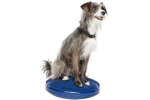 Ball Dynamics Int. LLC FitPAWS Disque d'Equilibre / Pack de Base pour Chien Bleu 36 cm