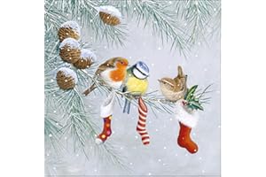 SERVIETTEN WEIHNACHTEN Lot de 20 serviettes oiseaux et chaussettes de Noël - Animaux - Hiver - Noël - Décoration de table 33 x 33 cm