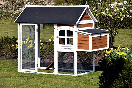 dobar 23034FSC Großer dekorativer Hühnerstall oder Kleintierstall XL mit Freigehege und 3er-Legebox, 180 x 90 x 145 cm, weiß-braun-schwarz - 2