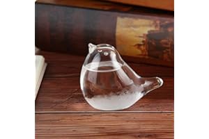 Rancross Storm Glass Weather Forecaster Weather Station Liquid Barometer Weather Predictor Fashion Creative Office Desktop and Home Decorative Weather Glass for Home & Office Durable and Useful