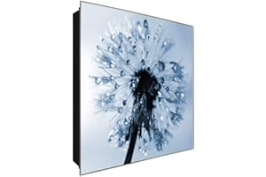 DekoGlas Schlüsselkasten 'Pusteblumen Tau' 30x30 Glas, inkl. Haken Schlüsselbrett Schlüssel-Box Design Aufbewahrung